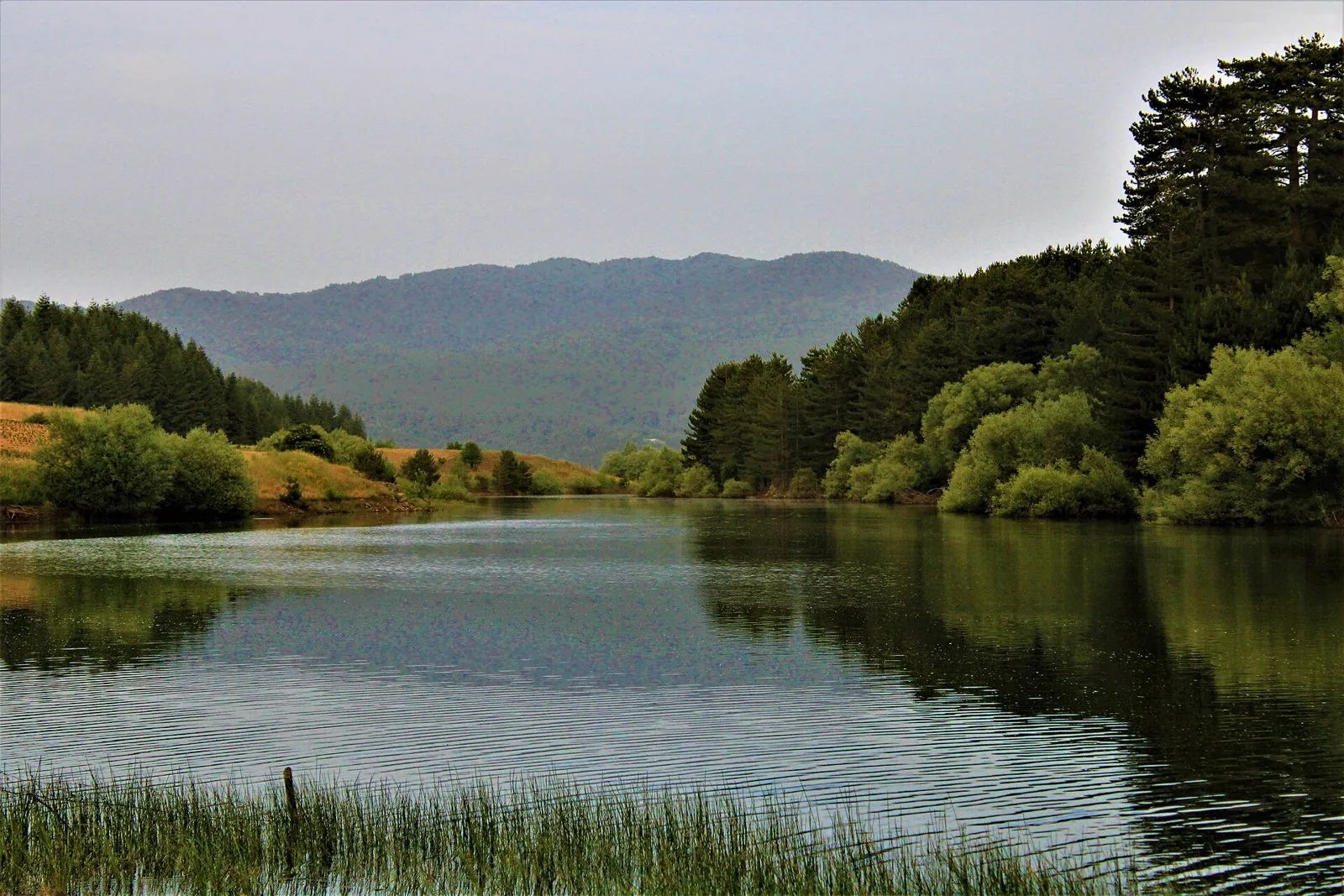 Acque calme del Lago di Cecita con pini e colline boscose della Sila