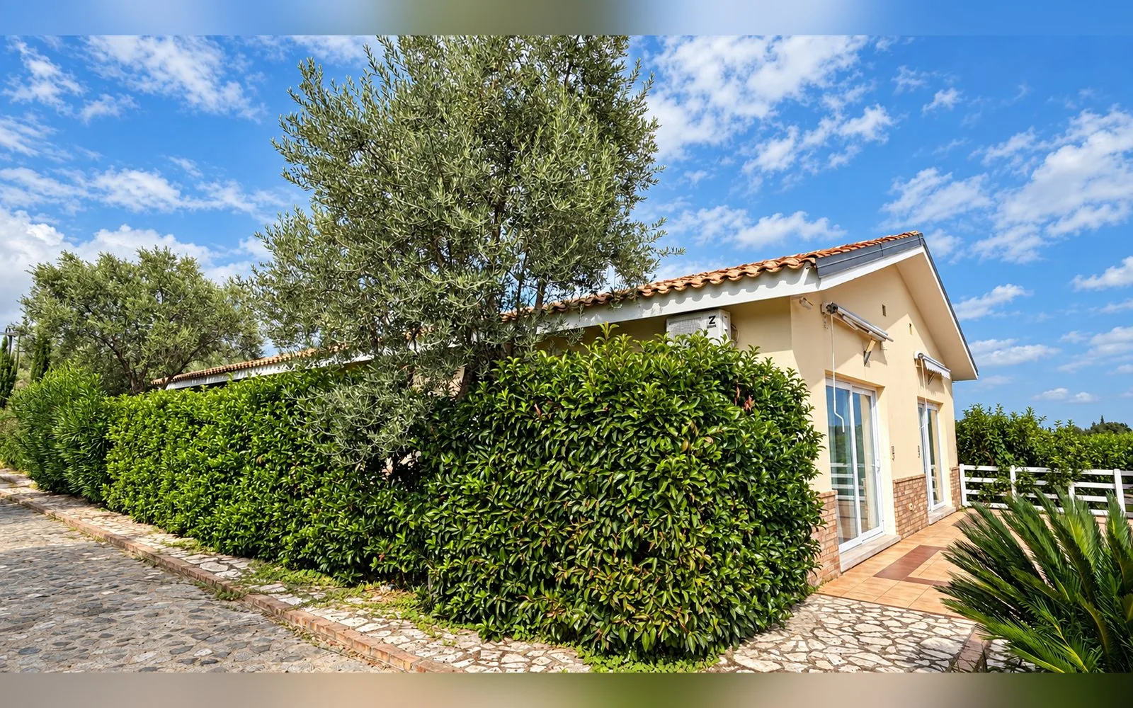 Villa Grande — foto 5